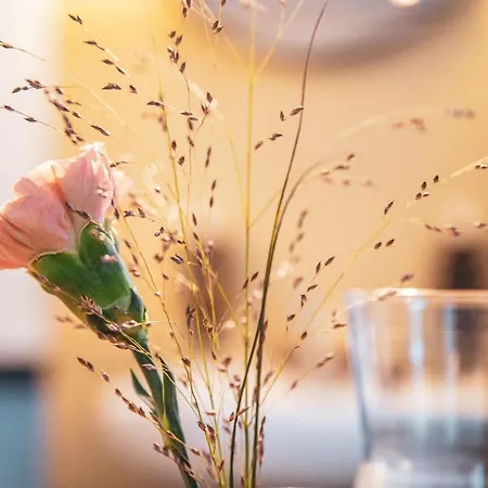 Pop Up Krone Hotel Zurich