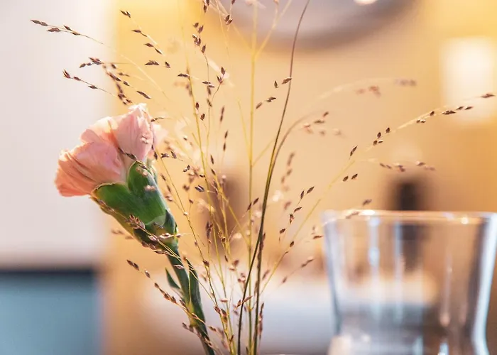 Pop Up Krone Hotel Zúrich